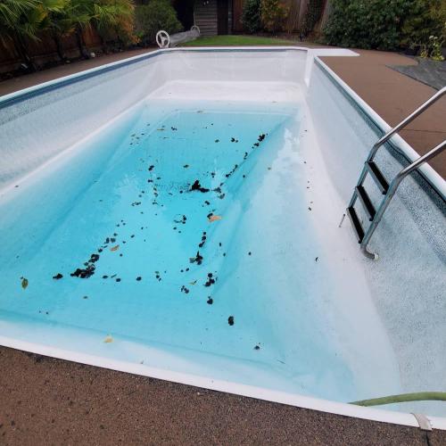  Pools & Hot Tubs Cleaning, Maintenance & Repair Services 